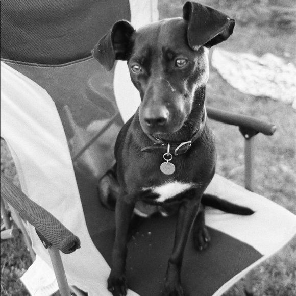 Meet your Posher, Lauren 🌞 - Picture 6 of 6